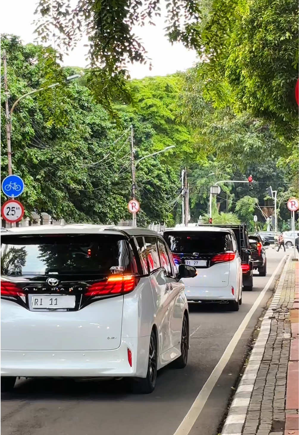 Bubaran para pejabat setingkat Menteri usai Pelantikan Kepala Daerah seluruh Indonesia di Istana Presiden🇮🇩🫡❤️🎉 #pejabat #ri11 #ri21 #ri24 #ri27 #ri26 #ri33 #viral #xyzbcafypシ #fyp 