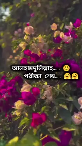 পরীক্ষা শেষ এক মাস মাদ্রাসায় যাব না কি মজা😎😎🤗#ইনশাআল্লাহ_যাবে_foryou_তে। #foryou #foryou #ইসলামিক_ভিডিও_🤲🕋🤲 