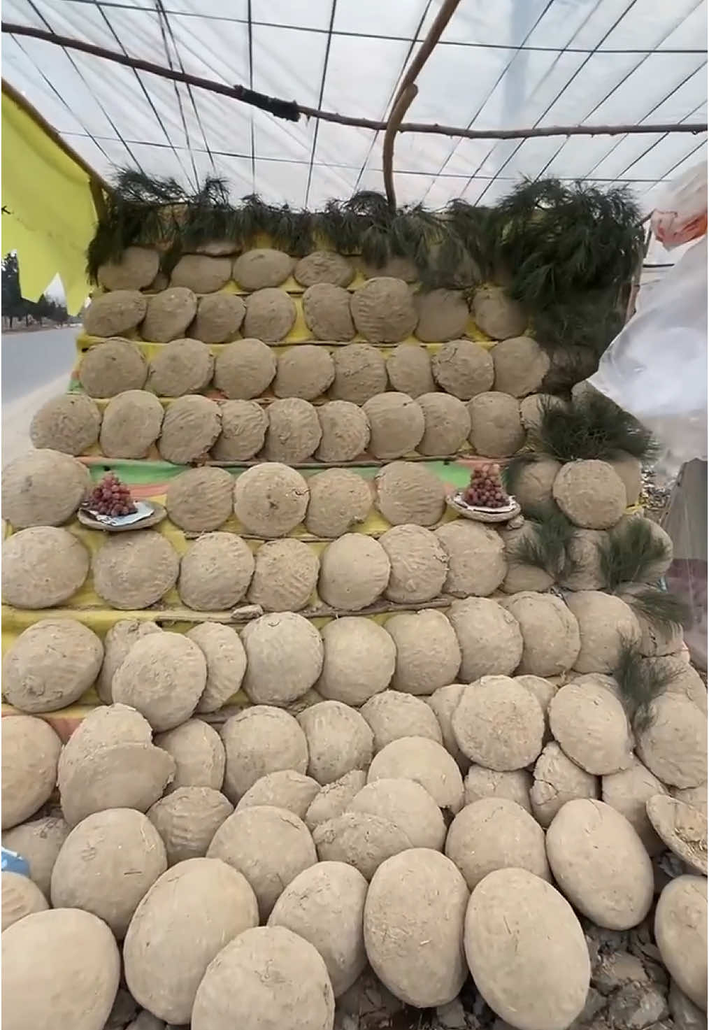 ( kangina ) Traditional grape storage - Afghanistan نگهداری انگور به شکل سنتی ( کنگینه ) مسیر کابل پروان