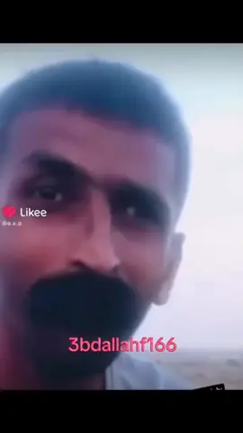 #مياو #ضحك #ههههههه 