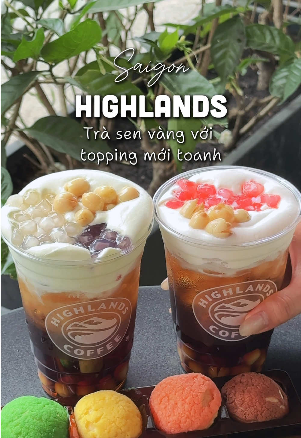 Có ai là tín đồ của trà sen vàng Highlands như tui không? Vừa nghe tin ra món mới phải đi thử liền #trasenvanghighlands #trasenvangkemsua #highlandscoffee #fyp #ancungtiktok 