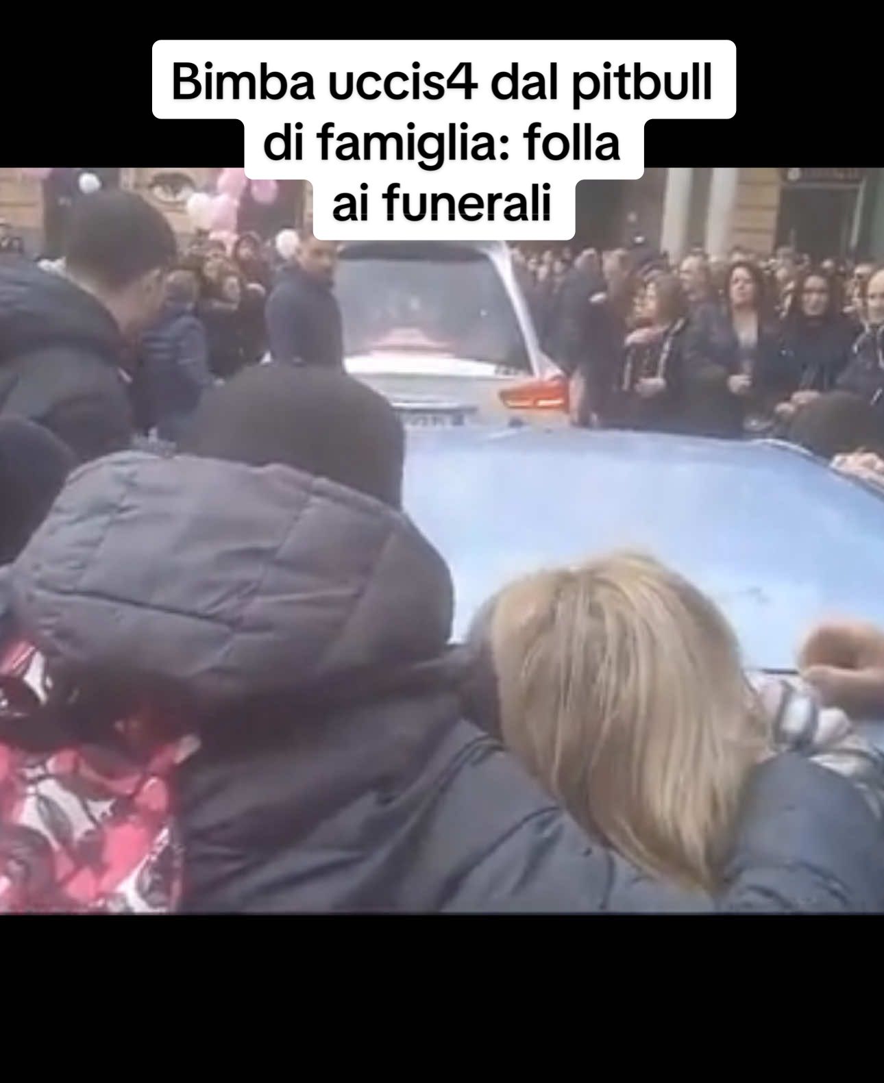 La salma della piccola Giulia Loffredo, sbranata a nove mesi di vita da un Pitbull, è uscita dal Duomo di Acerra per il funerale, che si è tenuto a porte chiuse su espressa volontà dei genitori Vincenzo Loffredo, 24 anni, e Angela Castaldo, 23 anni. La messa funebre è stata tenuta dal vice parroco della cattedrale, don Gustavo Arbellino. Al termine della messa il feretro è stato tumulato nel cimitero di Acerra. Nonostante la forma strettamente privata e a porte chiuse, centinaia di persone hanno atteso la salma sul sagrato del duomo per dare l'estremo saluto alla bambina uccisa la sera di sabato in casa sua.  . . . [#IlMessaggero] #acerra #storia #cani #pitbull 