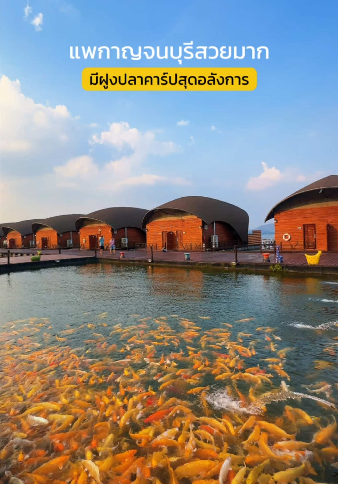 🛖🐟 ชอบมาก รีสอร์ทบรรยากาศดี ฝูงปลาคาร์ปเพียบ #แพกาญจนบุรี #กาญจนบุรี #ลีฟเลคกาญรีสอร์ท #ที่พักกาญจนบุรี #เที่ยวกาญจนบุรี #tiktoktravel #tiktokพาเที่ยว #รีวิวที่พัก #kanchanaburi 