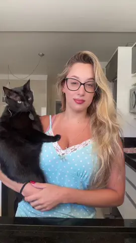 Meu gatos 😽