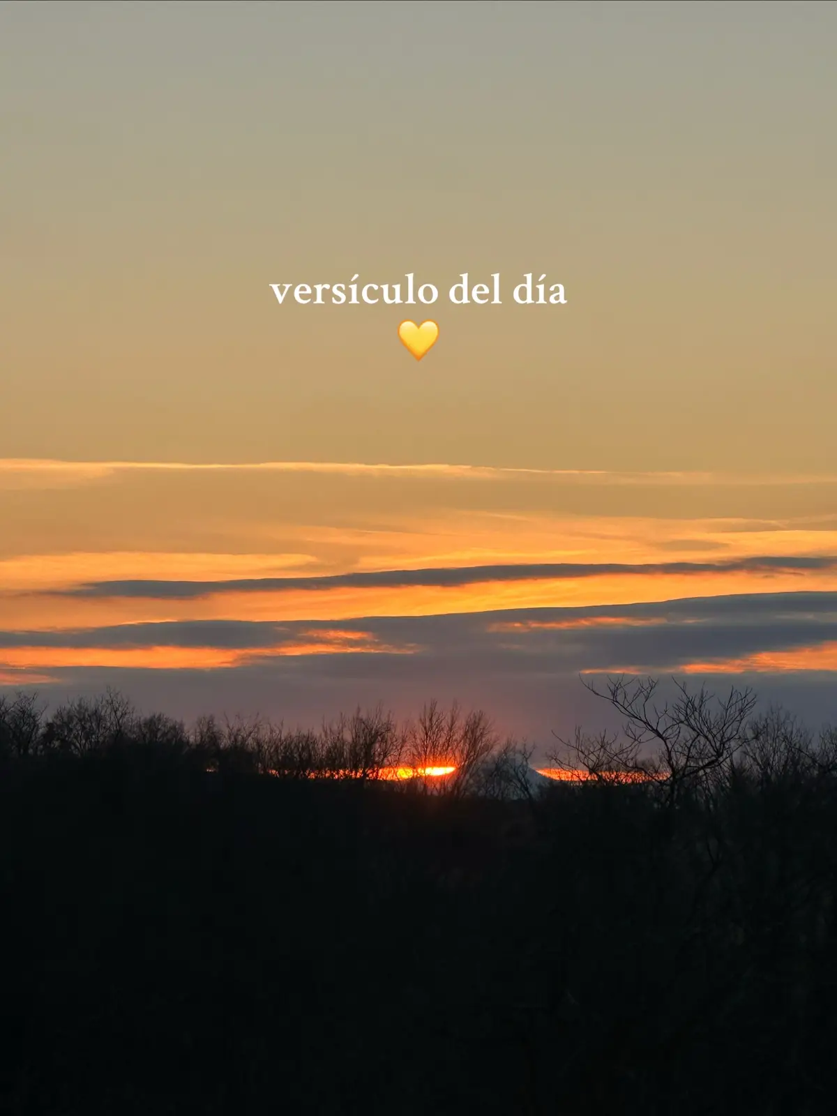 #christian #christiangirl #bible #bibleverse #verseoftheday #versiculosbiblicos #versiculodeldia #godisgood #god #jesus #jesuslovesyou #dios #diosteama #worship #alabanza #blessed #fyp #parati #viralvideo 