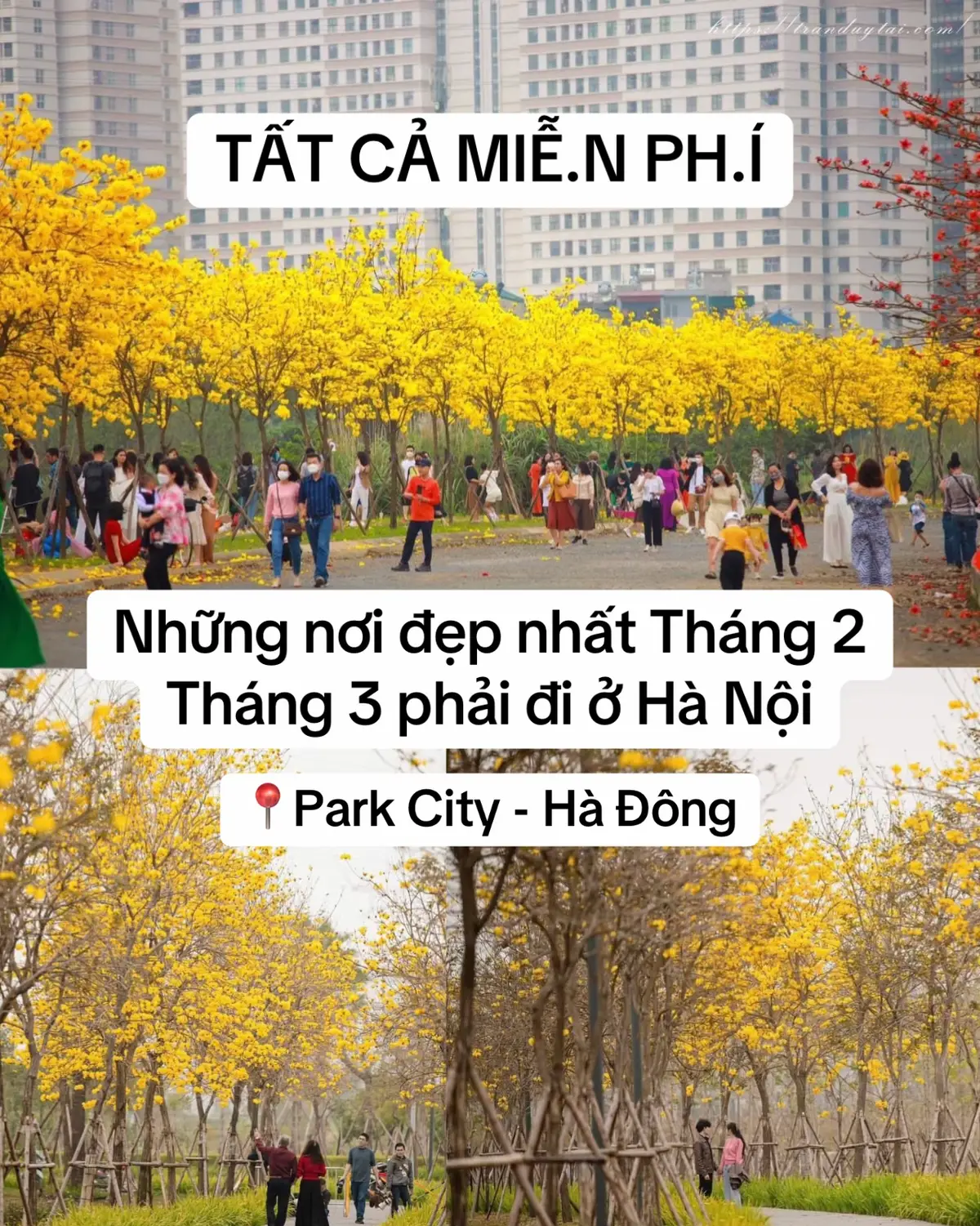 Ước có ai cho đi #hanoididau #hanoicuoituan #hanoidichoi #viki38trandainghia #parkcity #khudothiparkcity #bothangdau #khudothiciputra #ciputra 