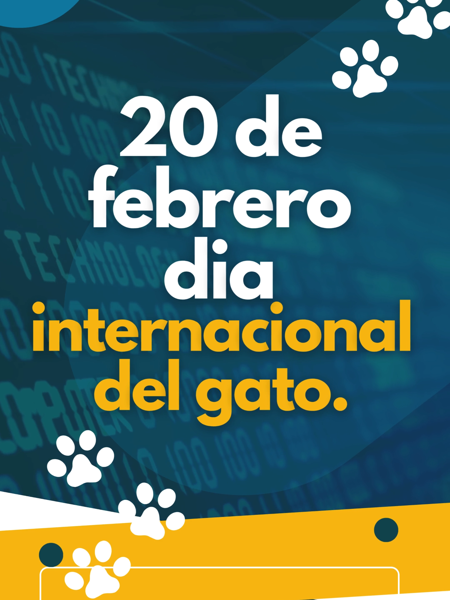 El 20 de febrero se celebra el Día Internacional del Gato 🐱🌎 ¡Una fecha para concienciar sobre su bienestar y protección! @venvennotevayas #Henet #Venven #Chikis #DíaDelGato #AmorFelino #CuidadoAnimal #ConcienciaFelina