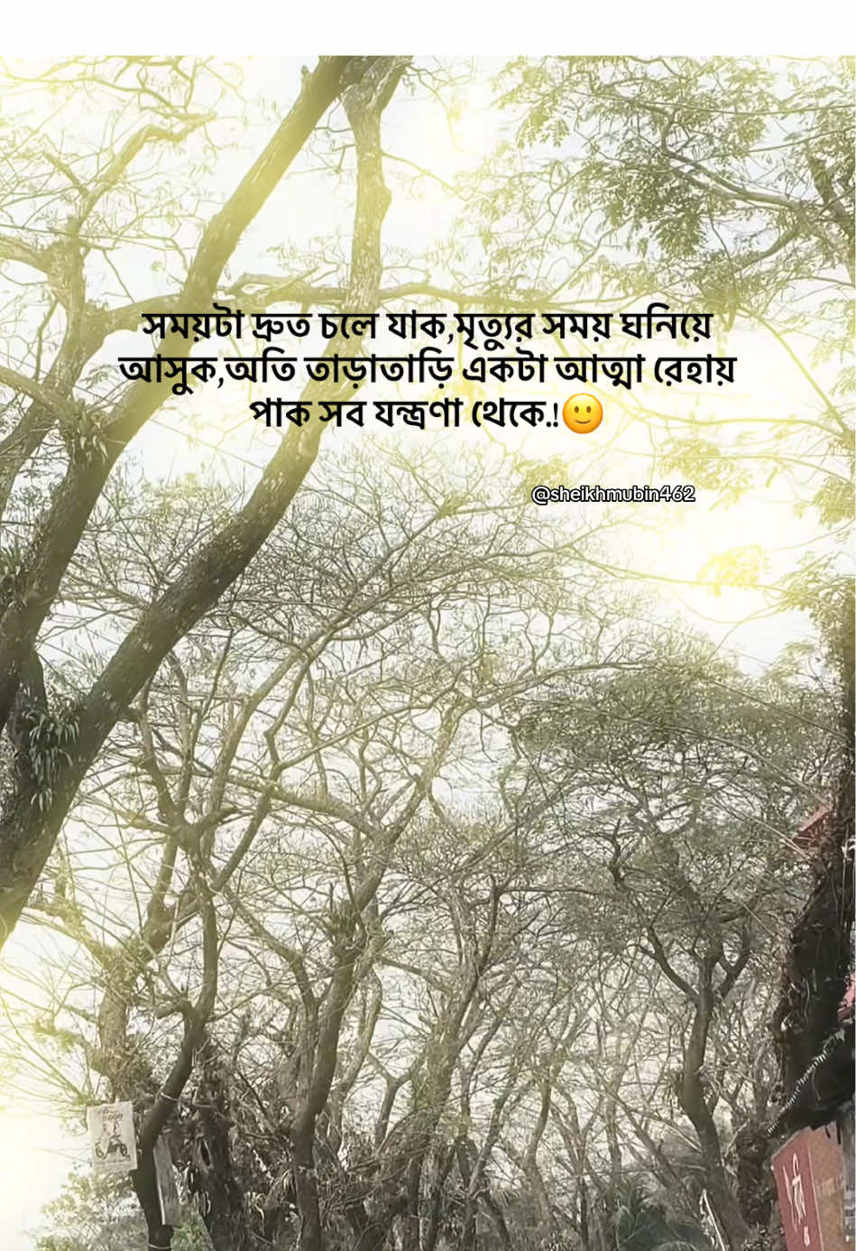 অতি তাড়াতাড়ি একটা আত্মা রেহায় পাক সব যন্ত্রণা থেকে.!🙂 . #ca#capcut#sheikmubin462#sheikh#mubin#viral#tiktok#bdtiktokofficial#tiktokofficialbangladesh#foryou#foryoupage#tarnding#tarndingvideo#fry#unfrezzmyaccount #unfrezzmyaccount🙏  #brokenheart 