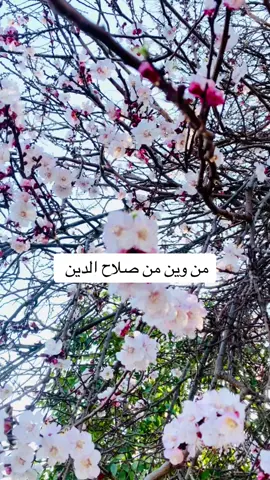 #يثرب_بلد_سامراء_تكريت_صلاح_الدين #بغداد_بصرة_موصل_الكويت_الخليج_دبي_ 