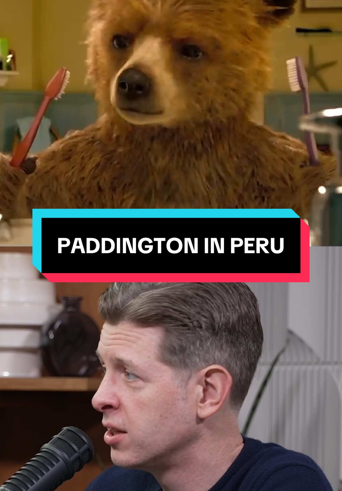 We need to expand the Paddington Cinematic Universe 🗣️ #paddington #paddingtoninperu #moviereview #filmtok 
