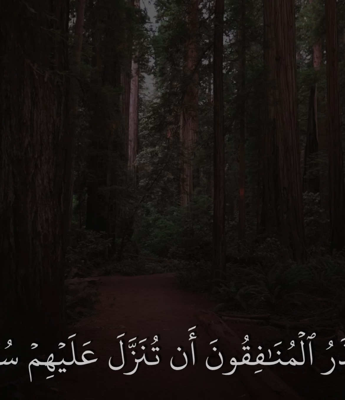 ﴿ لَيَقولُنَّ إِنَّما كُنّا نَخوضُ وَنَلعَبُ ﴾ #سورة_التوبة #ياسر_الدوسري #تلاوة_خاشعة #رمضان 