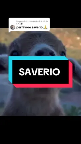 Risposta a @N I C O L A ⚽️ 👌 #talkinganimals #viral_video #foryou #funnyanimals #memes #names 
