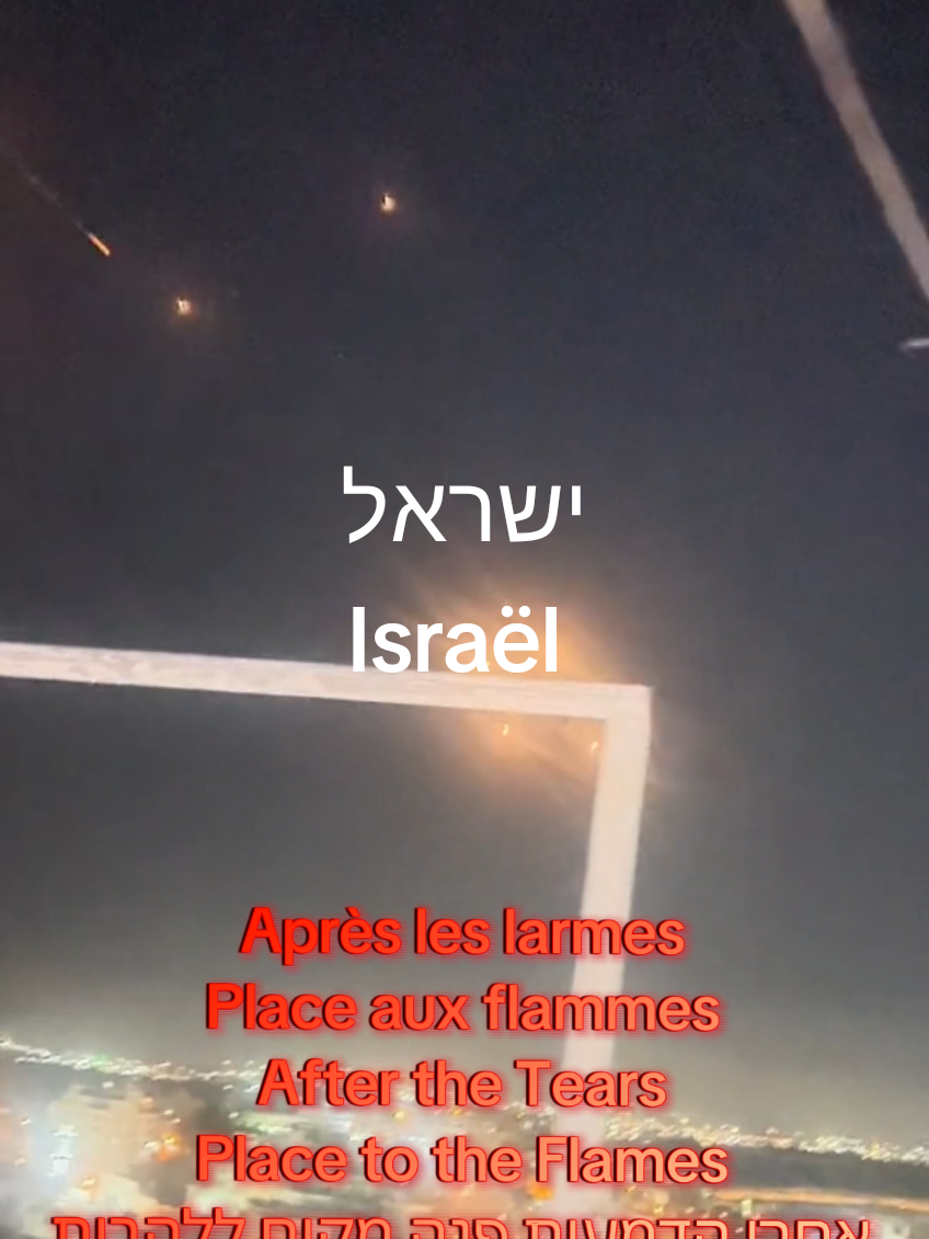 Après les larmes, les flammes. Pour Bibas, les otages et Israël #famille #pourtoi #fyp #israel #usa🇺🇸 #tsahal #gaza #otages #bibas #bibs #mossad #freedom #foryoupage❤️❤️ #france  #ישראל 