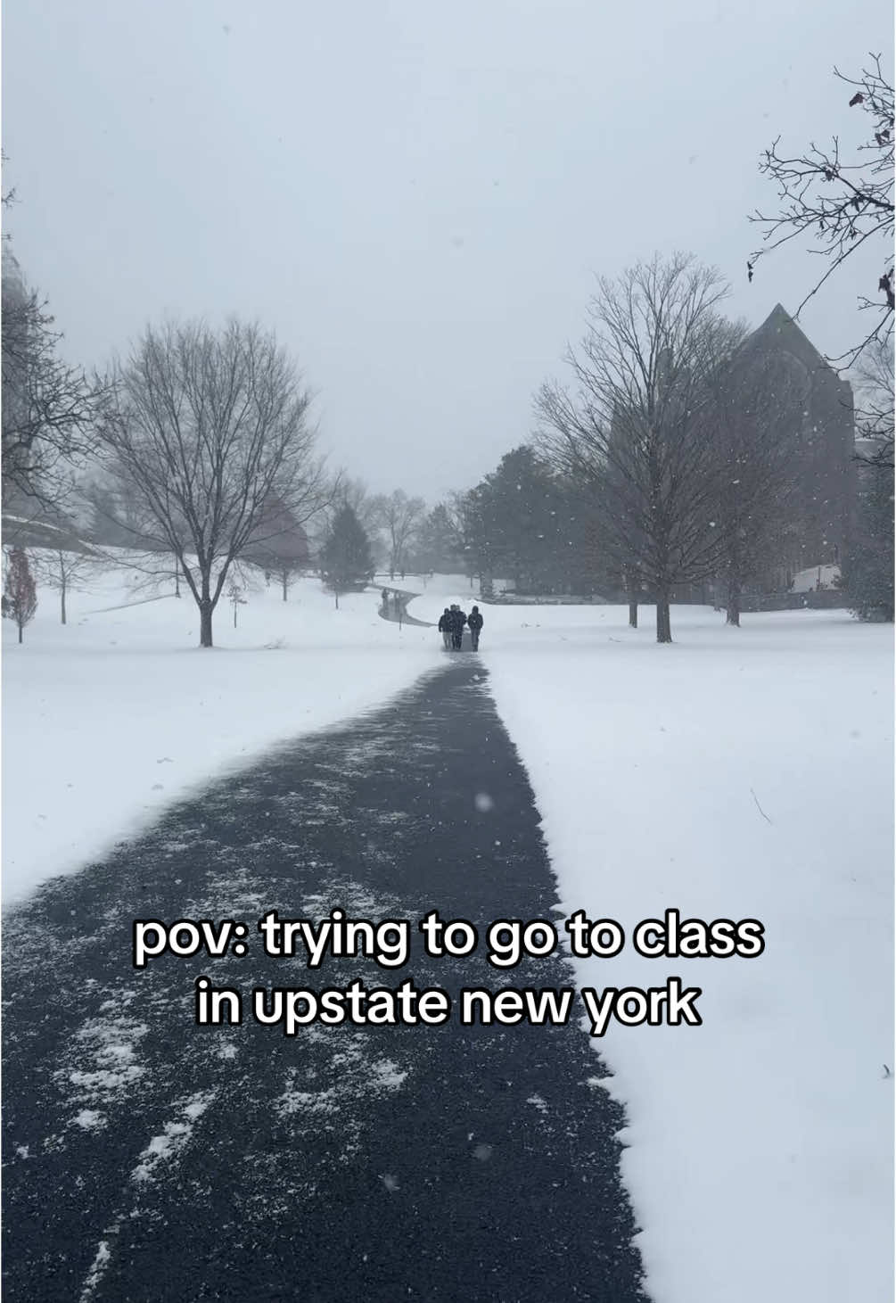 i keep slipping too cus mfs don’t salt the  #fyp #upstateny #newyork #college 