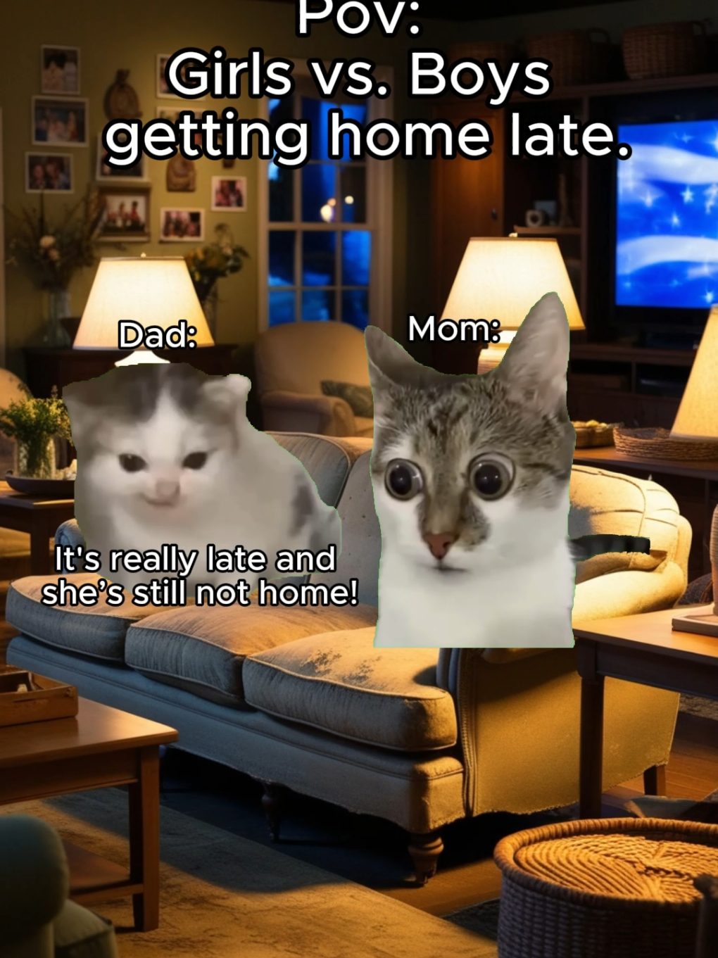 When my brother and I come home late #cat #catsoftiktok #couple #couplegoals #california 