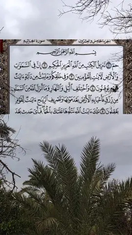 تفسير سورة الجاثية كاملة • ترتيل رمضان  . سُورَة الجَاثِيَة - مَكيّة - [مِنْ مَقَاصِدِ السُّورَةِ] معالجة أصحاب الهوى المستكبرين عن الحق، من خلال عرض الآيات والتذكير بالآخرة. [التَّفْسِيرُ] 1 - {حم} تقدم الكلام على نظائرها في بداية سورة البقرة. 2 - تنزيل القرآن من الله العزيز الذي لا يغلبه أحد، الحكيم في خلقه وقدره وتدبيره. 3 - إن في السماوات والأرض لدلائل على قدرة الله ووحدانيته للمؤمنين؛ لأنهم هم الذين يعتبرون بالآيات. 4 - وفي خلقكم -أيها الناس- من نطفة، ثم من مُضْغة، ثم من عَلَقة، وفي خلق ما يبثه الله من دابة تدب على وجه الأرض دلائل على وحدانيته لقوم يوقنون بأن الله هو الخالق. 5 - وفي تعاقب الليل والنهار، وفيما أنزل الله من السماء من المطر فأحيا به الأرض بإنباتها بعد أن كانت ميتة لا نبات فيها، وفى تصريف الرياح بالإتيان بها مرة من جهه،  6 - هذه الآيات والبراهين نتلوها عليك -أيها الرسول- بالحق، فإن لم يؤمنوا بحديث الله المنزل على عبده وبحججه، فبأي حديث بعده يؤمنون، وبأي حجج بعده يصدقون؟! 7 - عذاب من الله وهلاك لكل كذاب كثير الآثام. 8 - يسمع هذا الكافر آيات الله في القرآن تقرأ عليه، ثم يستمرّ على ما كان عليه من الكفر والمعاصي 9 - وإذا بلغه شيء من القرآن اتخذه سخرية يسخر منه، أولئك المتصفون بصفة السخرية من القرآن لهم عذاب مذلّ يوم القيامة. 10 - من أمامهم نار جهنم تنتظرهم في الآخرة، ولا يغني عنهم ما كسبوا من الأموال من الله شيئًا، 11 - هذا الكتاب الذي أنزلناه على رسولنا محمد هاد إلى طريق الحق، والذين كفروا بآيات ربهم المنزلة على رسوله لهم عذاب سيئ موجع. 12 - الله وحده هو الذي سخّر لكم -أيها الناس- البحر لتجري السفن فيه بأمره، ولتطلبوا من فضله بأنواع المكاسب المباحة، ولعلكم تشكرون نعمة الله عليكم. 13 - وسخّر لكم سبحانه ما في السماوات من شمس وقمر ونجوم، وما في الأرض من أنهار وأشجار وجبال وغيره، 14 - قل -أيها الرسول- للذين آمنوا بالله، وصدقوا رسوله: تجاوزوا عمن أساء إليكم من الكفار الذين لا يبالون بنعم الله أو نقمه، 15 - من عمل عملًا صالحًا فنتيجة عمله الصالح له، والله غني عن عمله،  16 - ولقد أعطينا بني إسرائيل التوراة والفصل بين الناس بحكمها،  17 - وأعطيناهم دلائل توضح الحق من الباطل، فما اختلفوا إلا من بعد ما قامت عليهم الحجج ببعثة نبينا محمد - صلى الله عليه وسلم  18 - ثم جعلناك على طريقة وسُنَّة ومنهاج من أمرنا الذي أمرنا به من قبلك من رسلنا تدعو إلى الإيمان والعمل الصالح، 19 - إن الذين لا يعلمون الحق لن يَكُفُّوا عنك من عذاب الله شيئًا إن اتبعت أهواءهم،  20 - هذا القرآن المنزل على رسولنا بصائر يبصر بها الناس الحق من الباطل،  21 - هل يظن الذين اكتسبوا بجوارحهم الكفر والمعاصي أن نجعلهم في الجزاء مثل الذين آمنوا بالله وعملوا الأعمال الصالحات،  22 - وخلق الله السماوات والأرض لحكمة بالغة، ولم يخلقهما عبثًا، ولتجزى كل نفس بما كسبته من خير أو شرّ،  23 - انظر -أيها الرسول- إلى من اتبع هواه وجعله بمنزلة المعبود له الذي لا يخالفه،  24 - وقال الكافرون المنكرون للبعث: ما الحياة إلا حياتنا الدنيا هذه فقط، فلا حياة بعدها، تموت أجيال فلا تعود وتحيا أجيال، وما يميتنا إلا تعاقب الليل والنهار، 25 - وإذا تُقْرأ على المشركين المنكرين للبعث آياتنا واضحات ما كان لهم من حجة يحتجون بها إلا قولهم للرسول - صلى الله عليه وسلم - وأصحابه 26 - قل لهم -أيها الرسول-: الله يحييكم بخلقكم ثم يميتكم، ثم يجمعكم بعد موتكم إلى يوم القيامة للحساب والجزاء،  27 - ولله وحده ملك السماوات وملك الأرض، فلا يُعْبد بحقٍّ غيره فيهما، ويوم تقوم الساعة التي يبعث الله فيها الموتى للحساب  28 - وترى -أيها الرسول- في ذلك اليوم كل أمة باركة على ركبها تنتظر ما يفعل بها،  29 - هذا كتابنا -الذي كانت ملائكتنا تكتب فيه أعمالكم- يشهد عليكم بالحقّ فاقرؤوه، إنا كنا نأمر الحفظة أن تكتب ما كنتم تعملون في الدنيا. 30 - فأما الذين آمنوا وعملوا الأعمال الصالحات فيدخلهم ربهم سبحانه في جنته برحمته 31 - وأما الذين كفروا بالله فيقال لهم تَبْكِيتًا لهم: ألم تكن آياتي تقرأ عليكم فتعاليتم على الإيمان بها،  33 - وظهر لهم سيئات ما عملوه في الدنيا من الكفر والمعاصي 34 - وقال لهم الله: اليوم نترككم في النار كما أنكم نسيتم لقاء يومكم هذا 35 - ذلكم العذاب الذي عذبتم به بسبب أنكم اتخذتم آيات الله هزؤًا تسخرون منها 36 - فللَّه وحده الحمد، رب السماوات ورب الأرض، ورب جميع المخلوقات 37 - وله الجلال والعظمة في السماوات وفي الأرض، وهو العزيز الذي لا يغالبه أحد،  #سورة_الجاثية #عبظ_الباسط_عبد_الصمد #القران_الكريم #القرآن_الكريم #قرآن #قران #القران #القرآن #تفسير #foryou #تيم_رمضان #abo_geren #رمضان #شعبان 