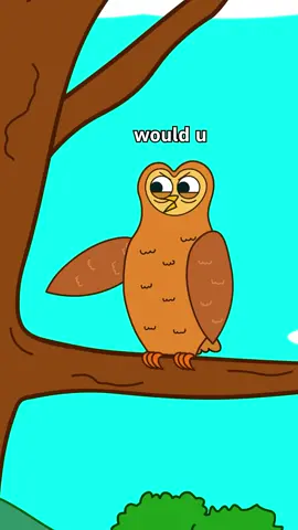 Bird Watching 🐦 • Driving Lessons 🚘  #fyp #humor #funnyvideo #lol #animals #cute #fypシ 