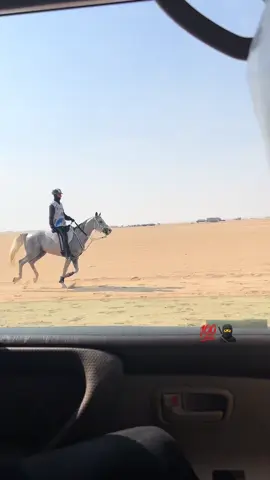 GNNDHAR🫶🫶#fyyyyyyyyyyyyyyyy #قدرة_التحمل ##خيل_وخياله🐎 #الكويت #الوفر #مالي_خلق_احط_هاشتاقات🦦 