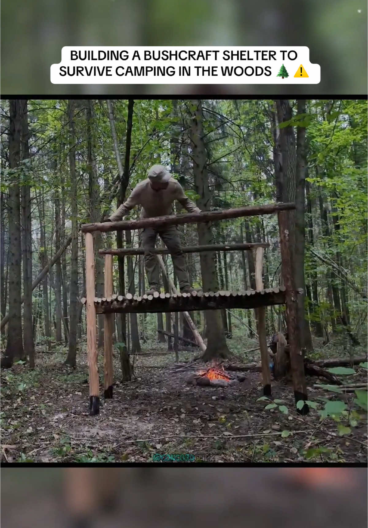 Bushcraft camping in the woods #camping #survival #outdoorlife #bushcraft 
