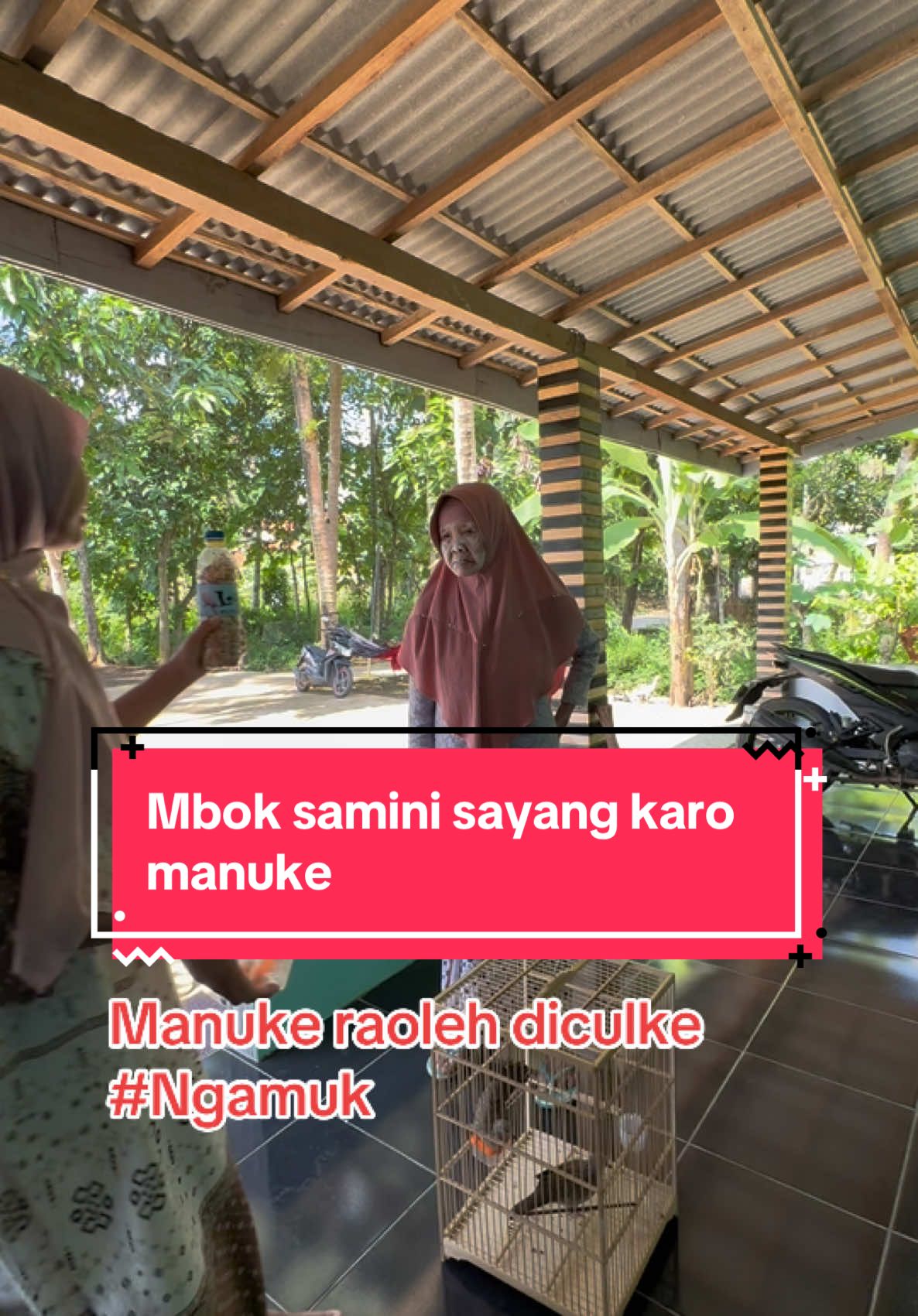 Wani ngeculke sabet mbok Samini #fyp #fyppppppppppppppppppppppp #samini #fypシ゚ #fypシ゚viral #foryoupage #fypdong #fypp #fypviralシ 