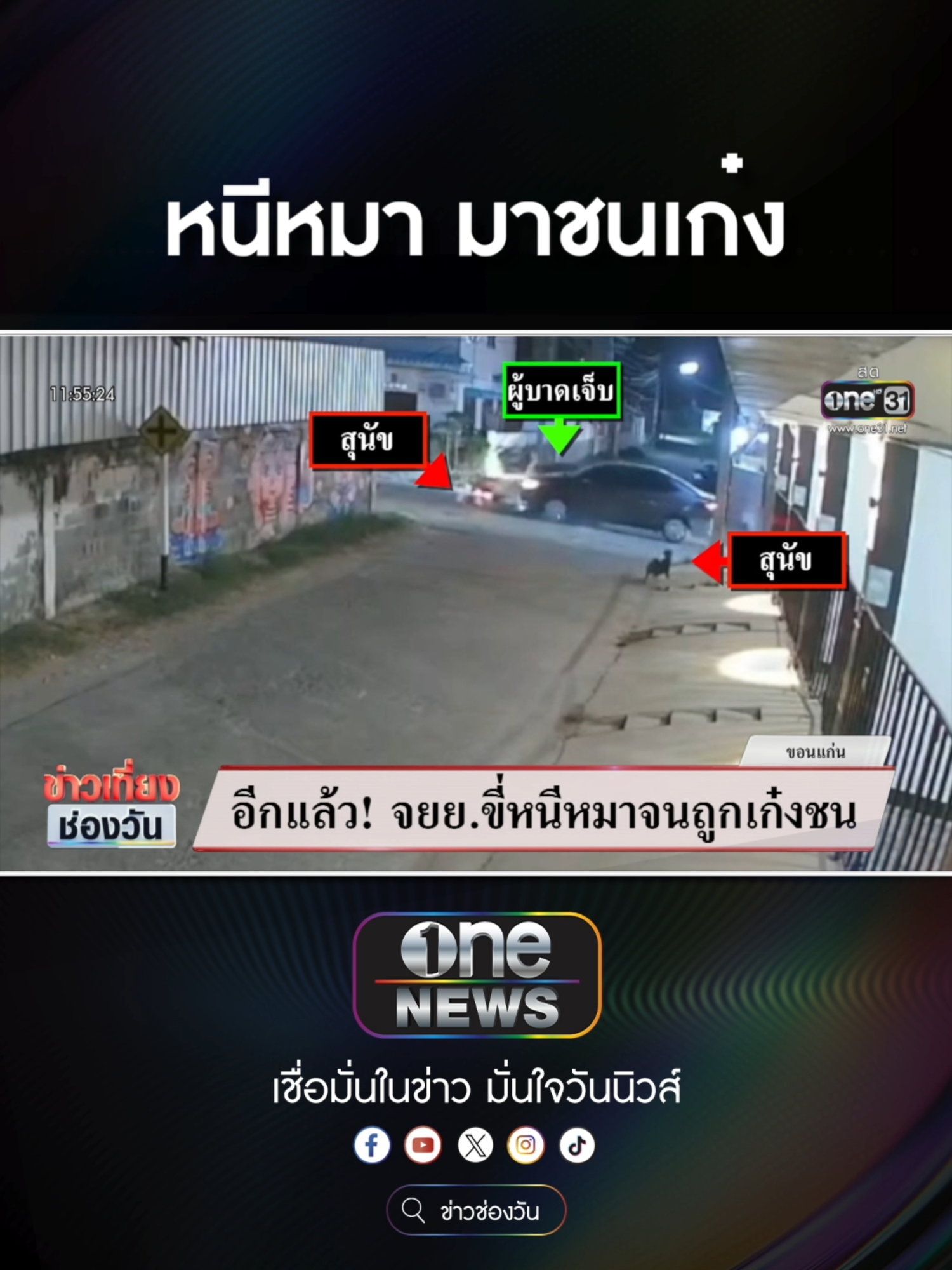 อีกแล้ว จยย.ขี่หนีหมา จนถูกเก๋งชน  #ข่าวช่องวัน #ข่าวtiktok #สํานักข่าววันนิวส์ #one31news