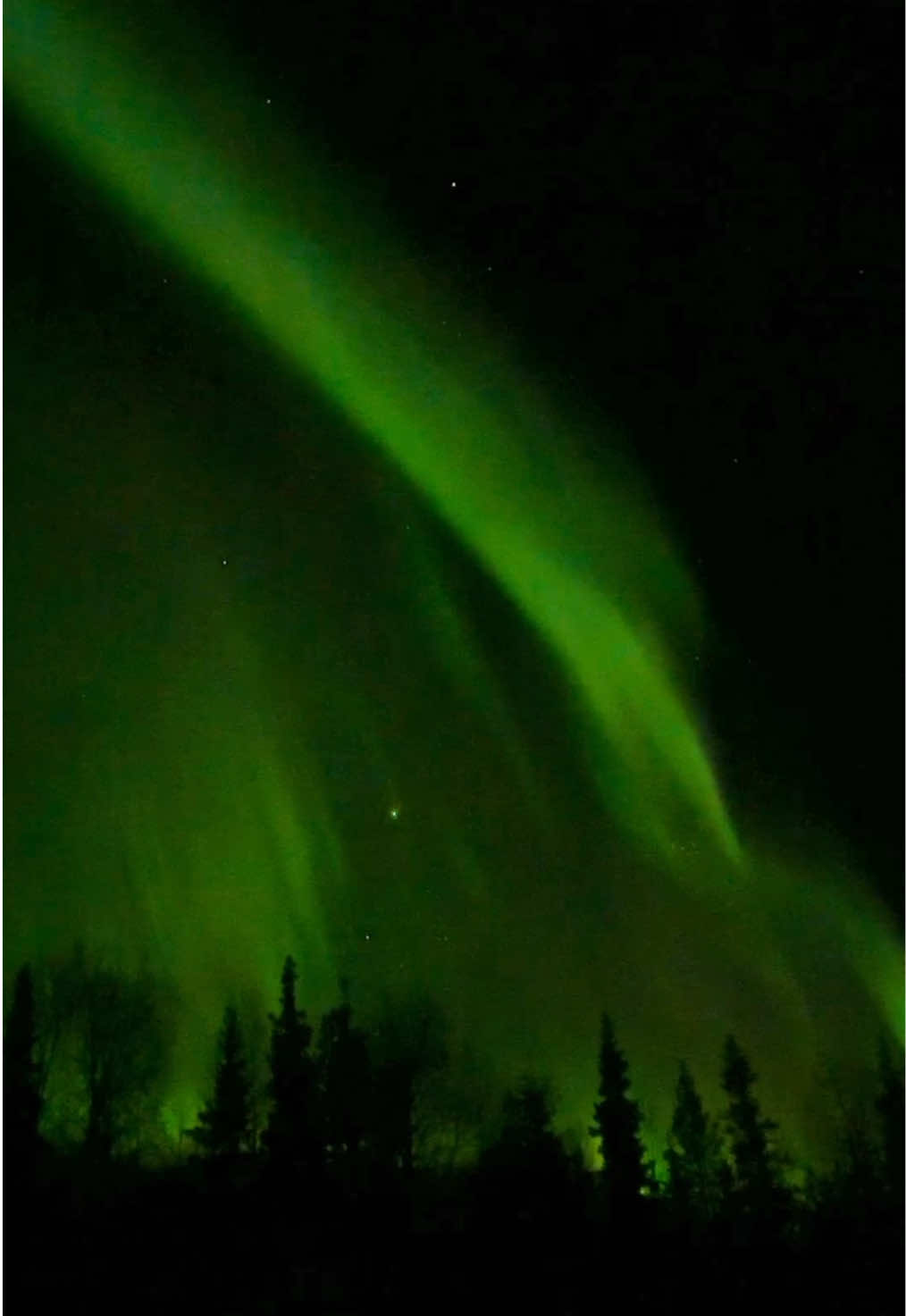 Dancing northern lights💫 An magical experience for me #finland #lapland #northernlights #aurora #finlande #laponie #lapponia #auroraboreal #videography #nordlichter #polarlichter #polarlights #nordic #arcticcircle #northpole 