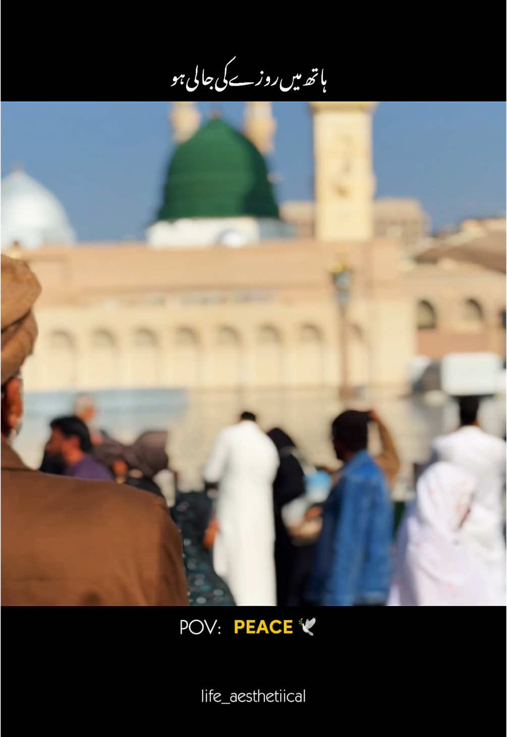 Sukoon🤍✨#madina #fyp #fypage #fypage #tiktok #fyppppppppppppppppppppppp#مدینہ_پاک_مسجد_نبوی_شریف_ #fypシ゚ #pakistan #saudiarabia🇸🇦 #اللهم_صلي_على_نبينا_محمد #🤍💫 #viral #growmyaccount #CapCut 