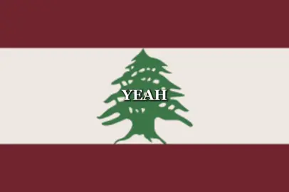 🇱🇧🇱🇧 #lebanon #libnan #🇱🇧 #jesuslovesyou #lebanese #edit #represent #coun #viral #fyp #celebrity 