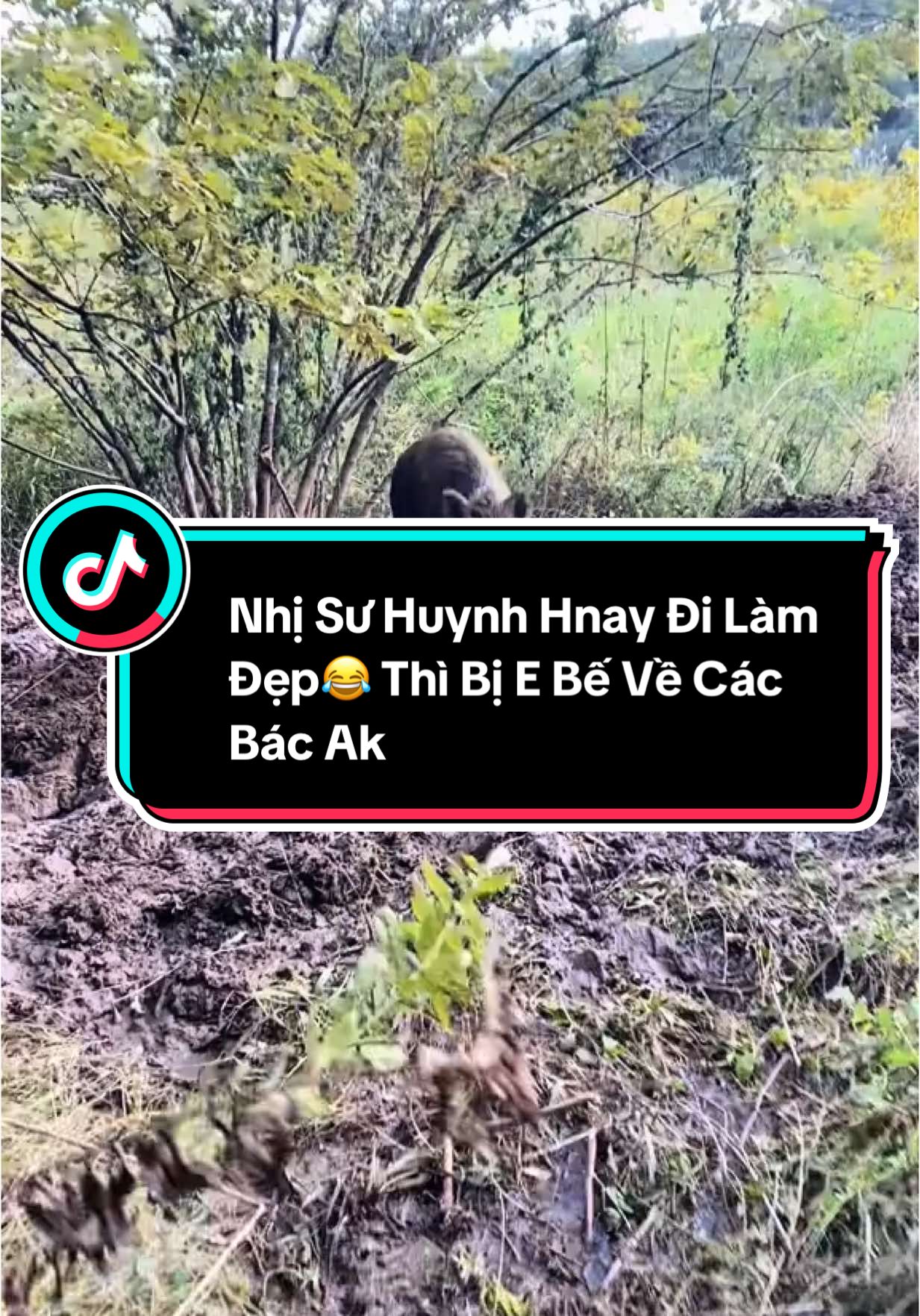 Trả lời @thu97  Mấy Cái Thắc Mắc Của Các Bác. E Giải Thích Lun Trong Video Này Rồi Nhé.😂. CÁc Bác Xem Hết Video Nhé#cuocsongnhatban #nhatban🇯🇵 #nhatban #cuocsongthuongngay #ibaraki #vietnam #nongnghiepvietnam #nongnghiepnhatban #xh #fyp 