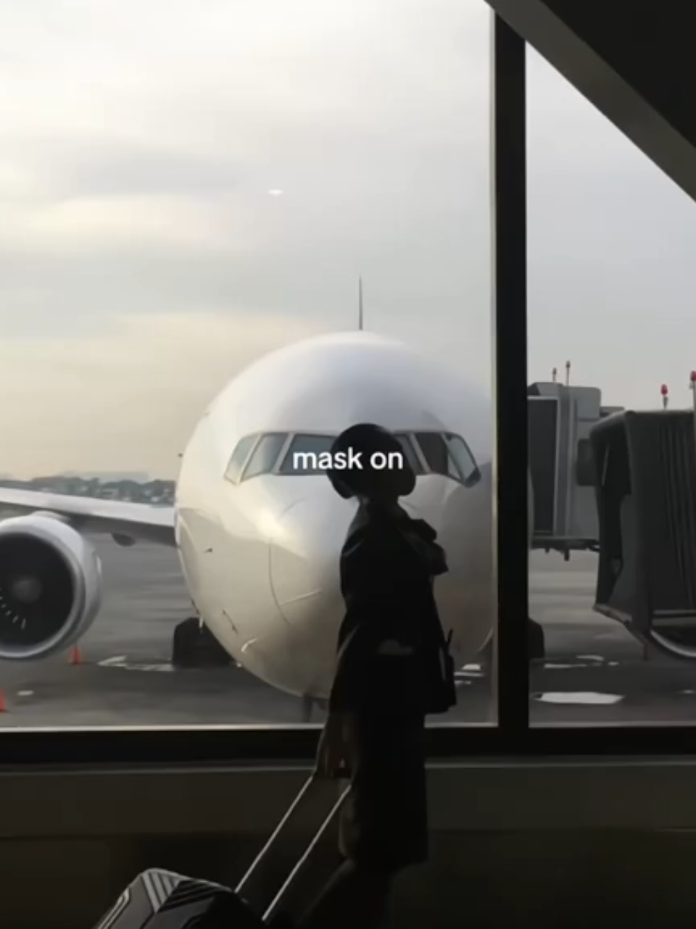 oh to travel around the world (the video was enchanted by ai!) #flight #flightattendant #traveling #world #tourism #tour #plane #fyp #blowthisup 