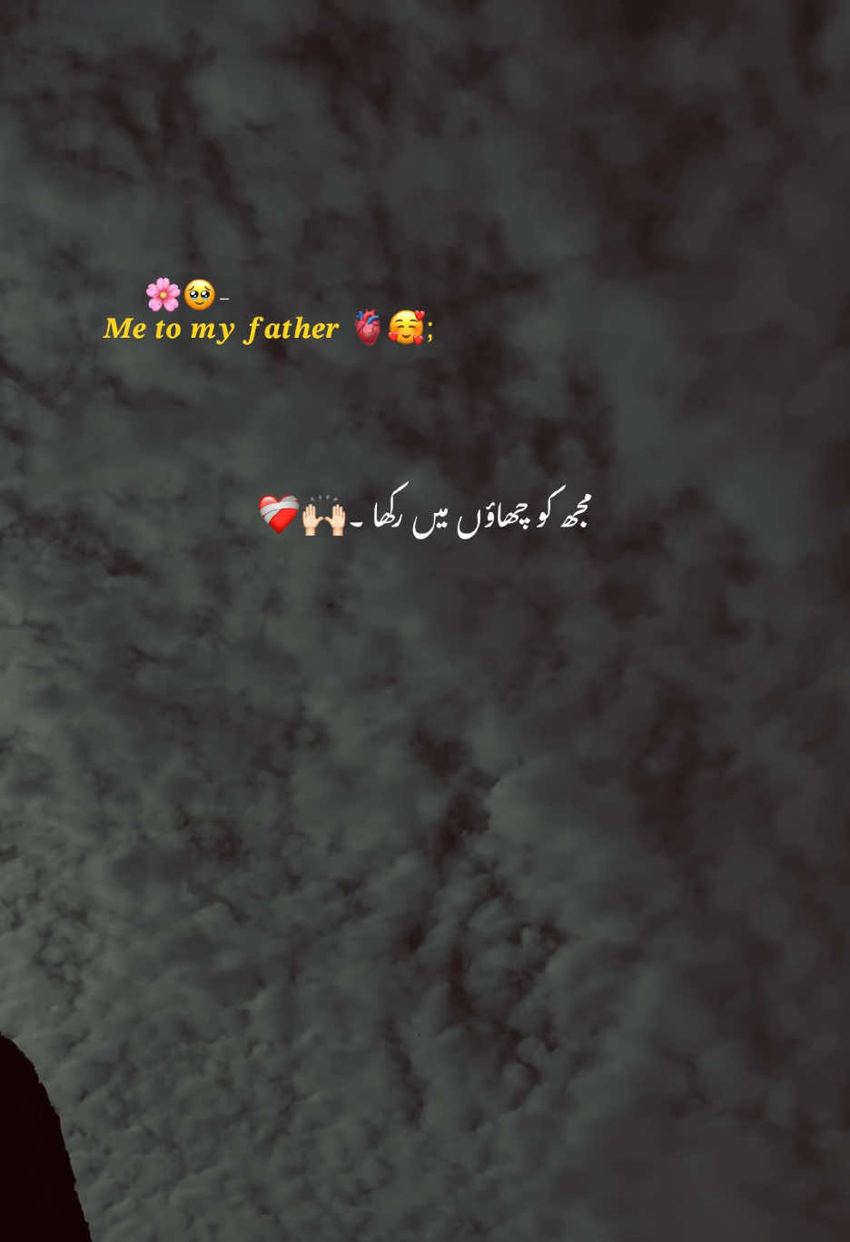 𝑴𝒆 𝒕𝒐 𝒎𝒚 𝒇𝒂𝒕𝒉𝒆𝒓🫀🫠🌸; #aesthetic #poetry #poetrystatus #grow #account #foryou #foryoupage #1million #hehe_sarab 