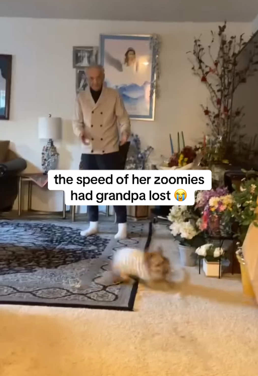 I. AM. SPEED. 🏎️💨 (via @clo) #zoomies #dog #funny