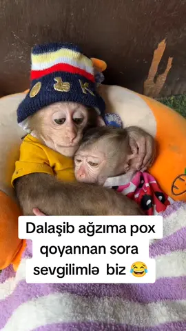 (İroni) 🥰❣️