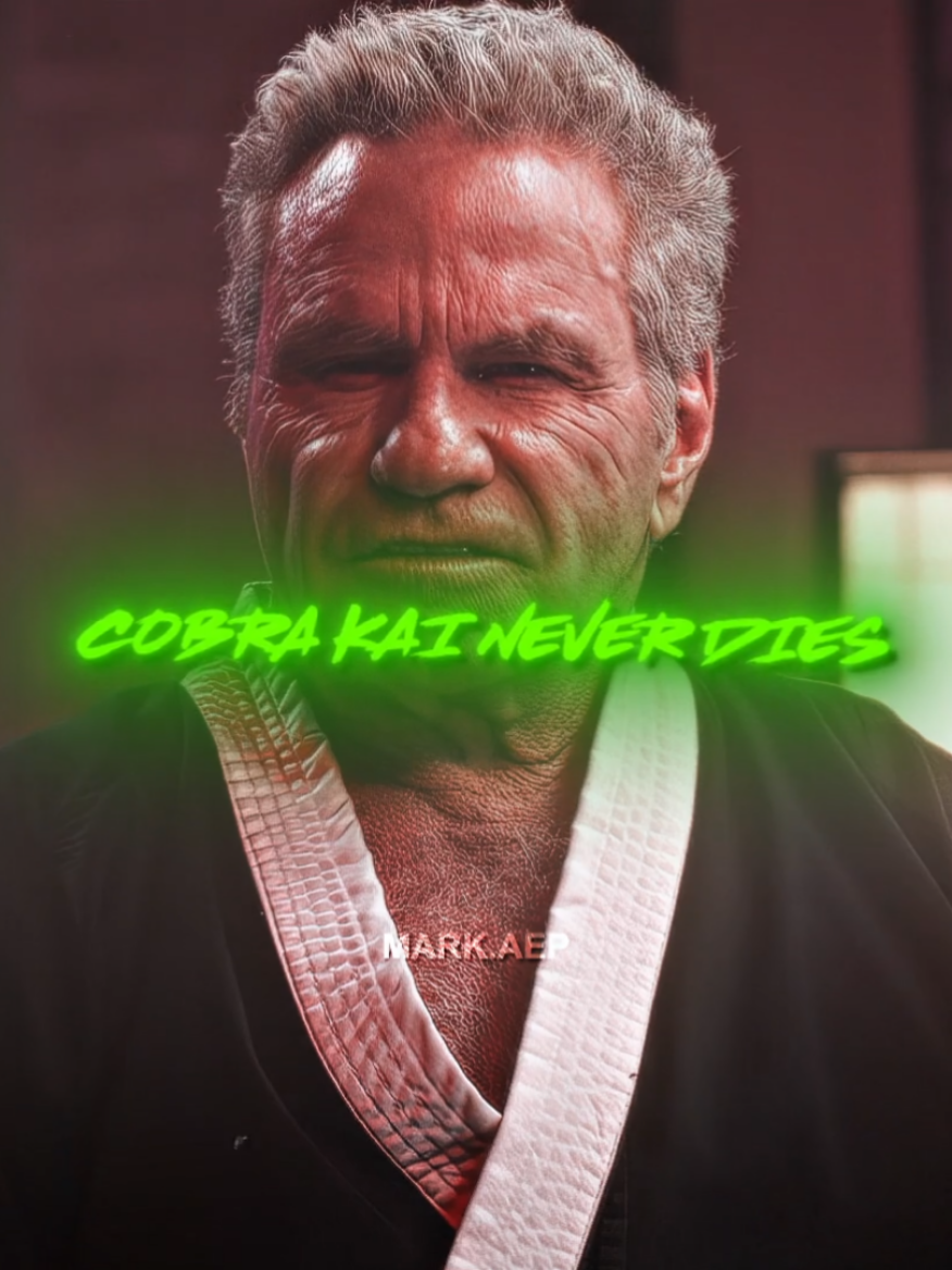 I'm going to miss this show 😢 #cobrakai #karatekid #endofanera #daniellarusso #johnnylawerence #show #era #edit #fyp 