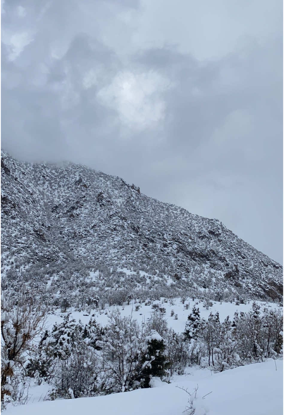 #amedi #snow #CapCut #kurdistan🇹🇯️ #duhok_zaxo_amedi_semel_akre 