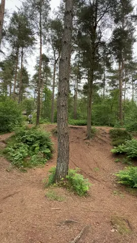 Bike fail #bikefall #bike #mtb #mtbfail 