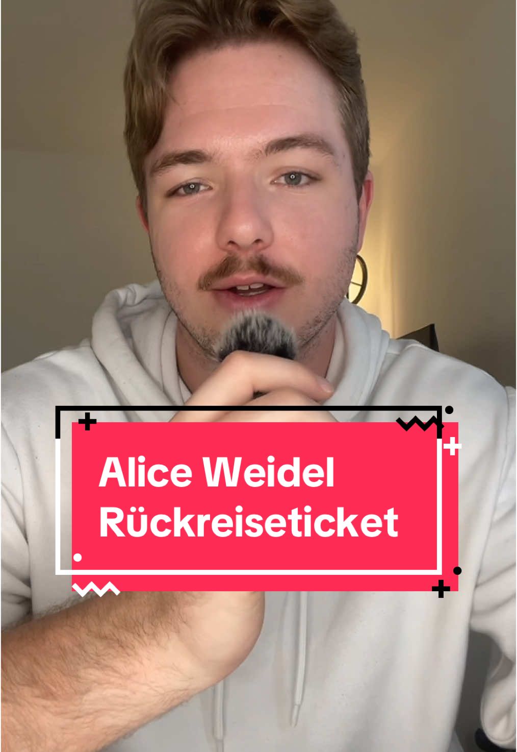 alice weidel hat jetzt in der schweiz ihr eigenes rückreiseticket bekommen