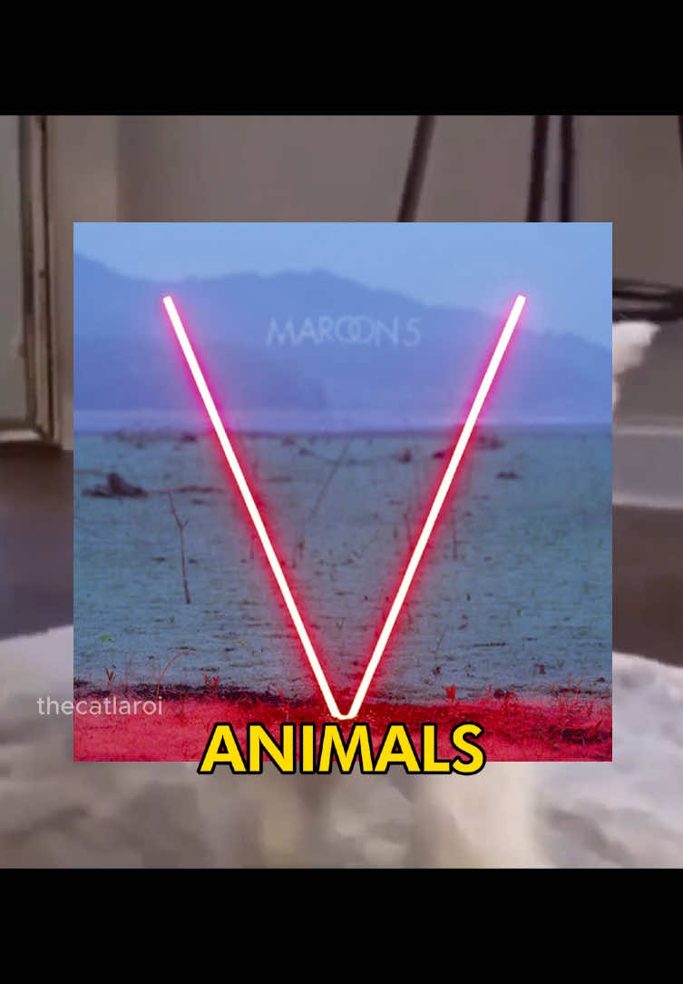 🗣️🗣️ LIKE ANIMALS 🔥🔥 #maroon5 #songoftheday #catcore #catsoftiktok #catlover #cattok #pop #rock #fyp 