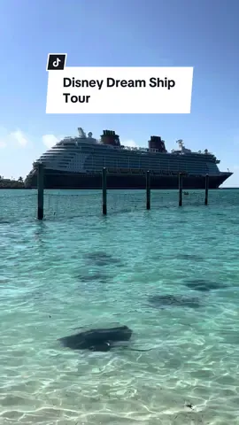 The Disney Dream ship tour you’ve been waiting for. ✨ From dining and games to shows and swimming you can find it all aboard the Disney Dream cruise ship. Let us know what else you’d like to see from the ship. 🚢 #TravelTikTok #Ocean #DisneyWorld #DisneyParks #WaltDisneyWorld #DisneyAdult #CruiseShip #ShipTour #Paradise #CruiseTok #CruiseLife #DisneyTok #DisneyHosted #Expedia
