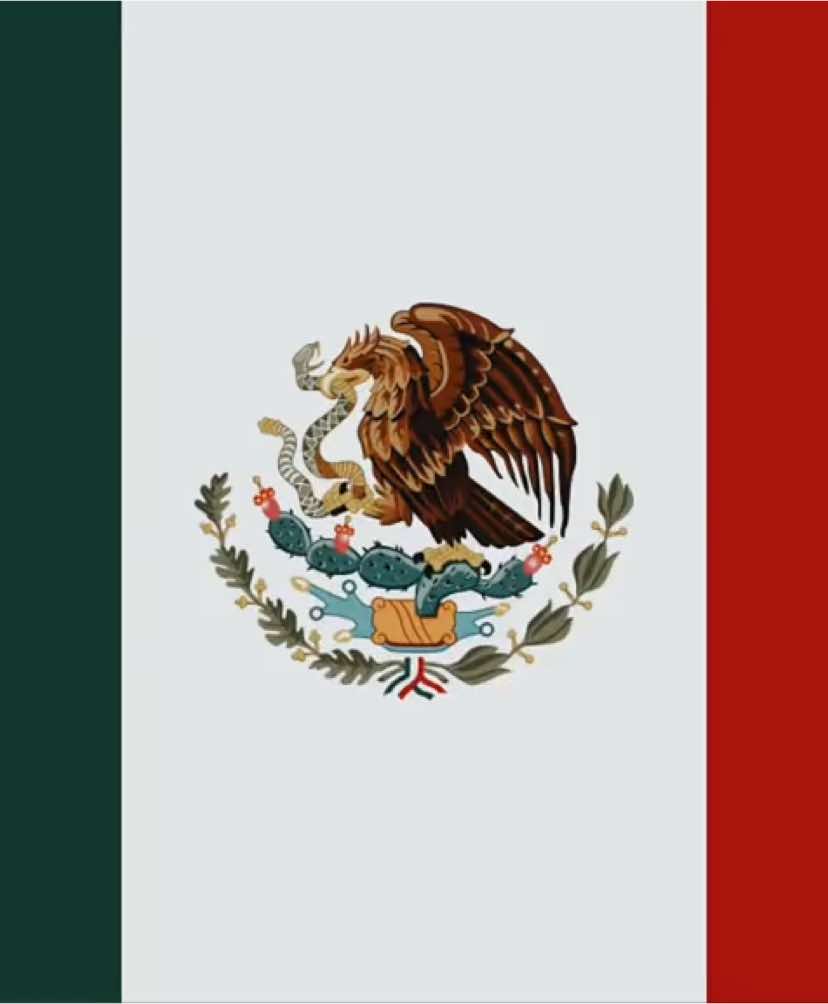 MÉXICO 🇲🇽 #maskoff #mexico #estadosunidosmexicanos #mexicancore #cdmx #latam