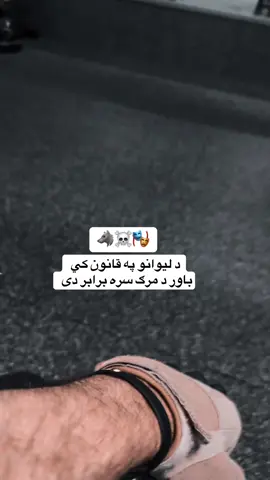 🎭🐺☠️