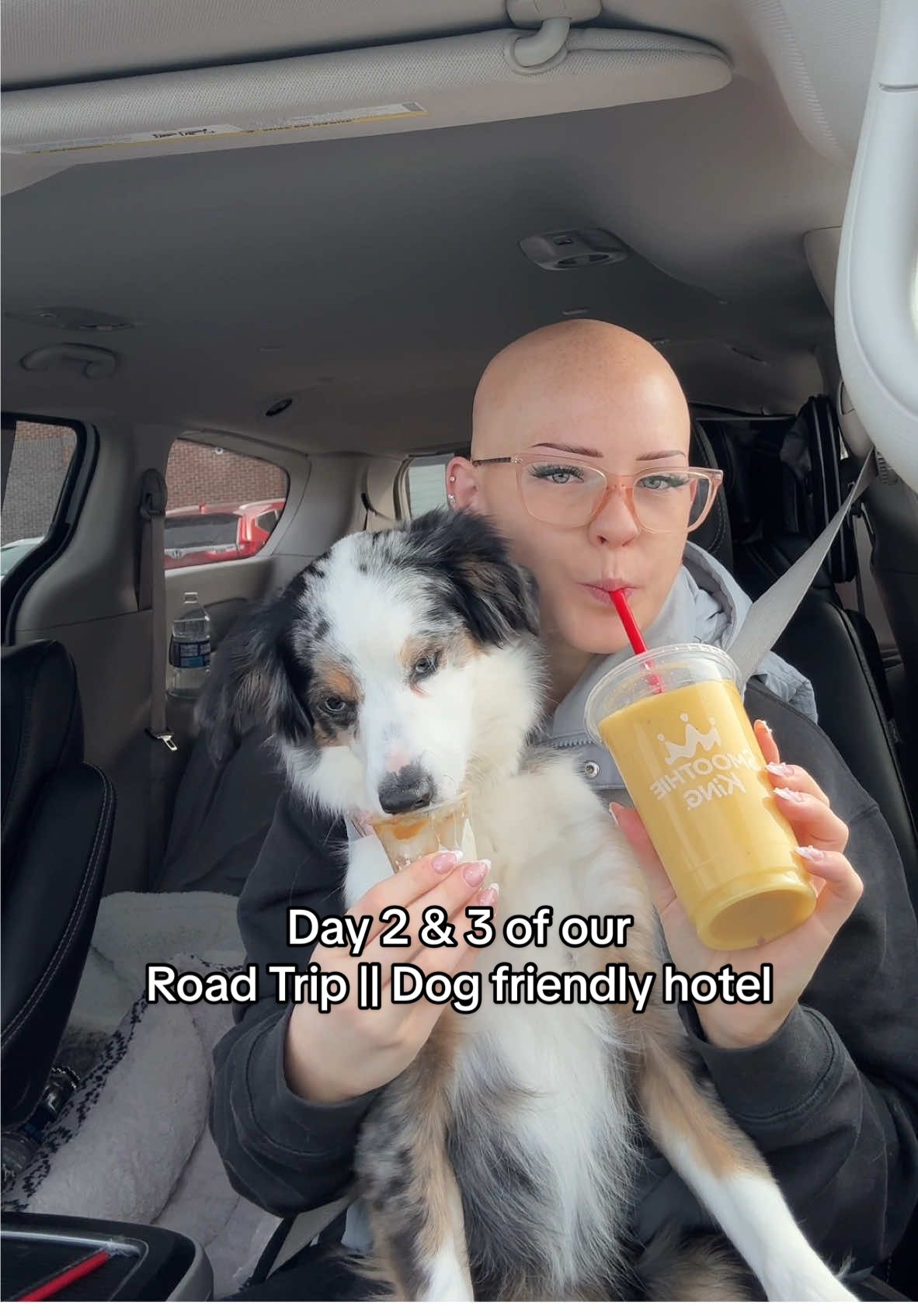 Day 2 & 3 of our road trip from Maryland to LA!!!! We found another super dog friendly hotel called The Eddy in Golden Colorado 🤩🐶 we will update you on day 4  #dogfriendly #traveltiktok #dogsoftiktok #roadtrip #dog #dogfriendlytravel 