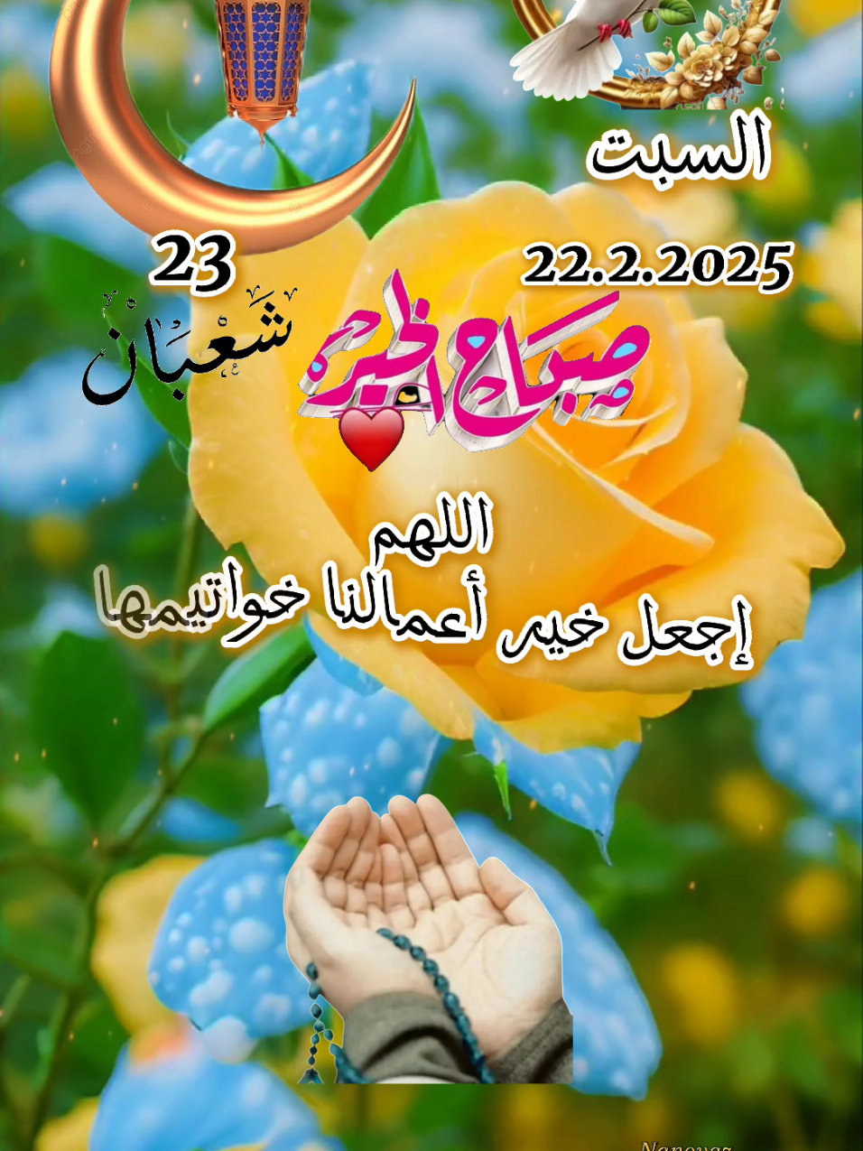 اللهم في صباح يوم السبت  #صباحكم_أحلى_صباح #صباح_الخير #صبحكم_الله_بالخير_والعافيه🌸🌿 #صباحكم_معطر_بذكر_الله #دعاء_يريح_القلوب #fyp #CapCut #دعاء_الصباح #دعاء_يوم_السبت 