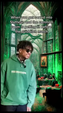 To this day one of my favourite TikTok’s I’ve stitched @Dom Gabriel #onthisday #harrypotter #slitherin #hufflepuff 