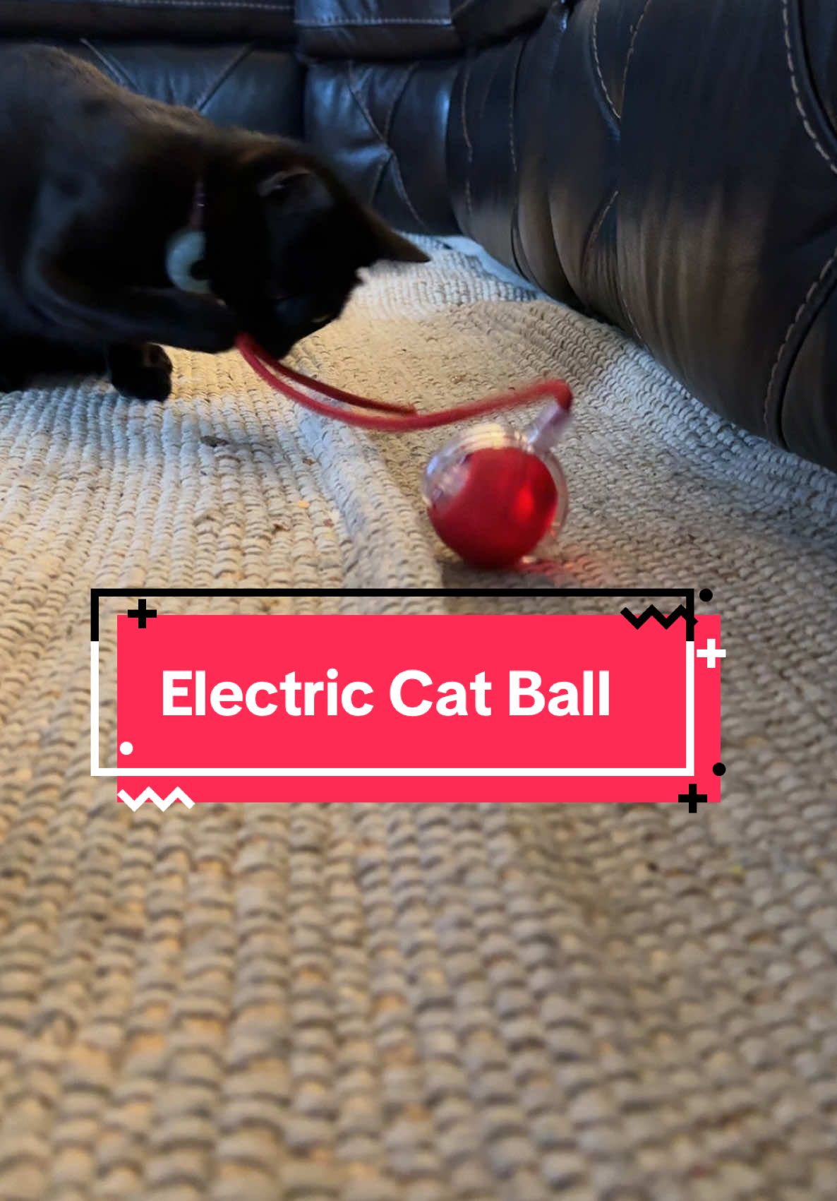 Electric cat toy ball with yarn that they will chase all over the house, such such a good play toy for the cats!! #CatToy #CatBall #ElectricCatToy #ElectricCatBall #BallOfYarn #CatBallYarn #CatYarnBall #ElectricKittenToy #KittenToys #CatToys #catmom #catparents #tiktokshopjumpstart #TikTokShopLoveAtFirstFind #springintohealth  #tiktokshoprestock  #tiktokshopcreatorpicks  #tiktokshopjumpstartsale   #mademyyear #SuperBrandDay #lovelanguage #seasonalgems #goalcrusher #tiktokshopspringglowup 