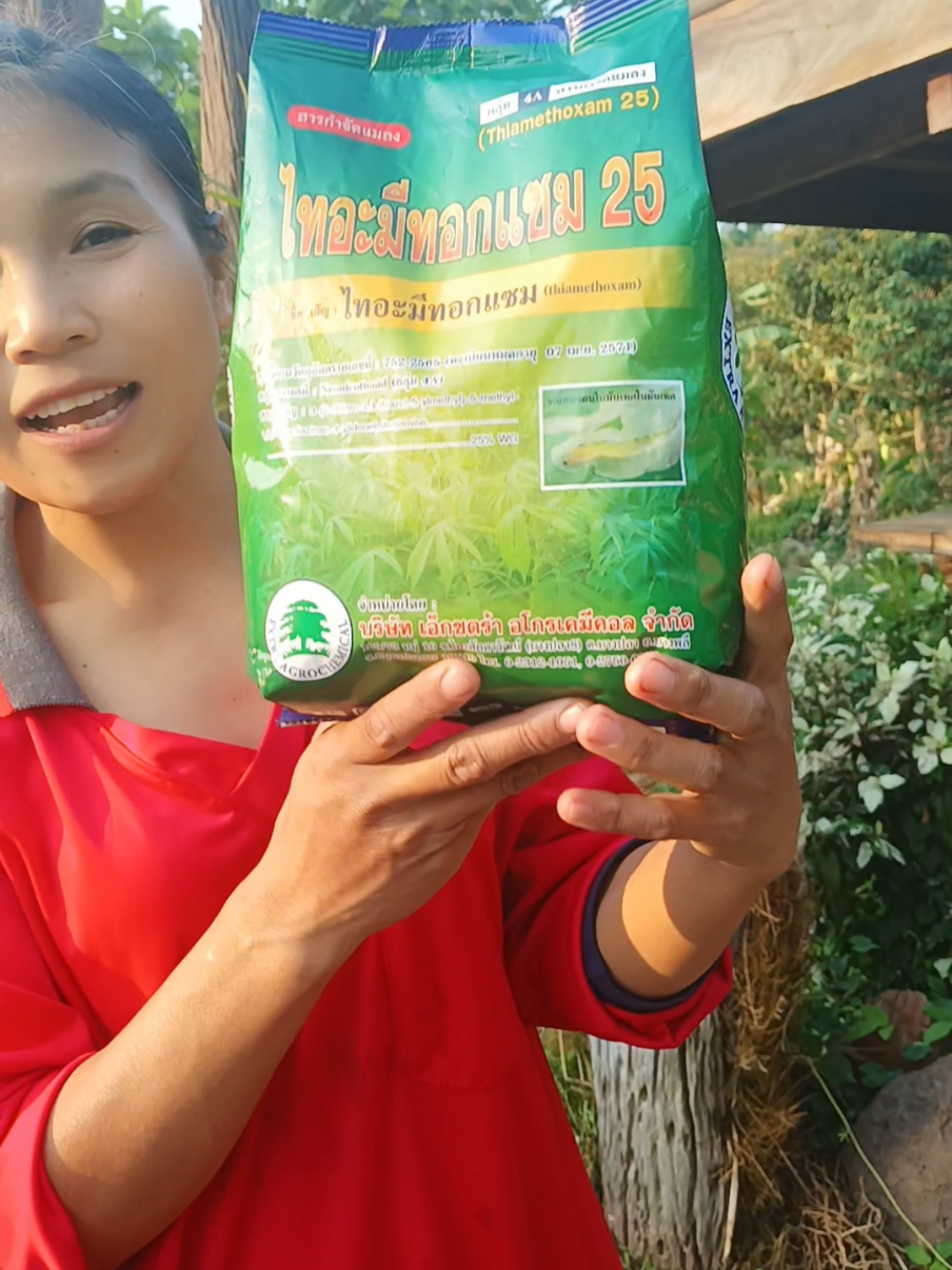 #ไทอะมีทอกแซม #ไทอะมีทอกแซม25 #สารกําจัดแมลง #กําจัดแมลง #รีวิว #รีวิวของดีบอกต่อ #เกษตรสาวภูธร 
