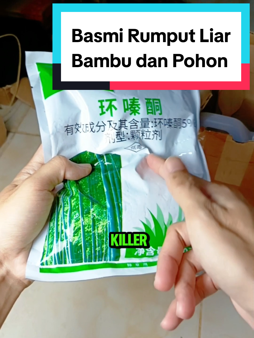 @yusri6340 Basmi rumput pakai herbisida tree killer #herbisida #herbisidarumput #treekiller #pembasmirumputliar 
