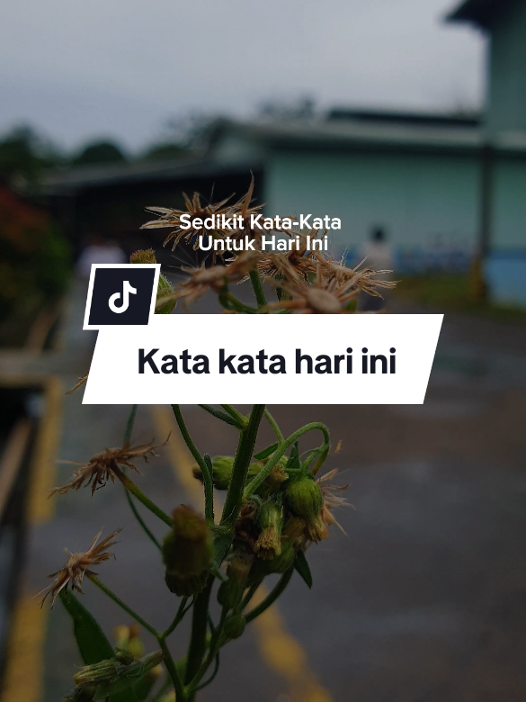 Kata kata hari ini #CapCut #quotesstory #status #katakata #fyp #fyppppppppppppppppppppppp #viral #trending #statusharian #statusharian2025 #nasehatislami #quotesislam #motivasihidup 