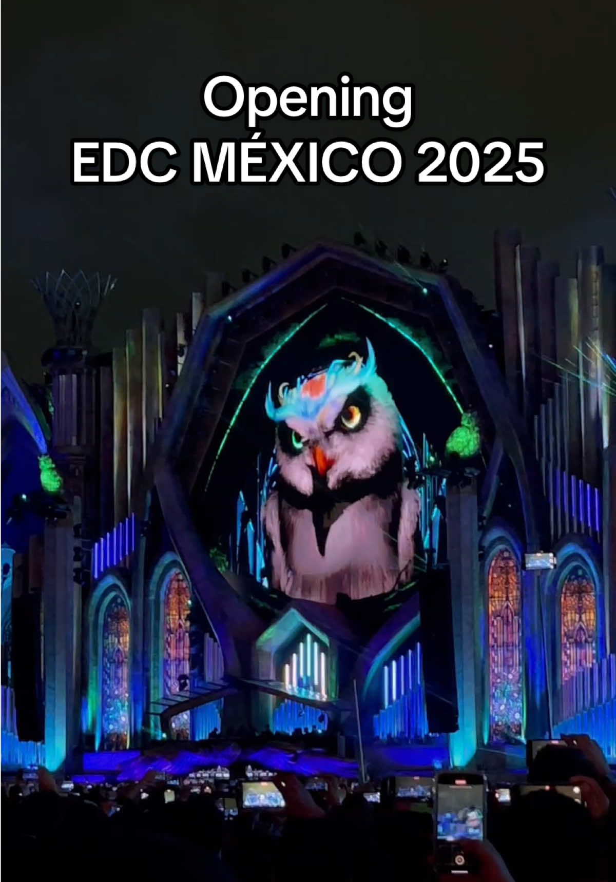 Gran opening #edc #edcmexico #edc2025 #cdmx #fyp #viral 