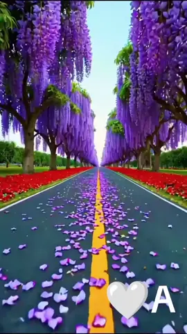 #duet cùng @Aytac 🌼 #xuhuongtiktok2025💝💝💝 #xuhướnghashtag 